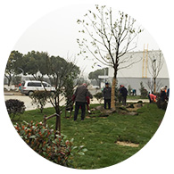 綠化工程 Product