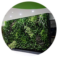 立體綠化 Product