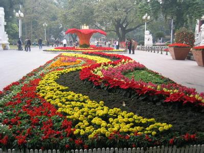 城市廣場(chǎng)草花項(xiàng)目 城市廣場(chǎng)草花項(xiàng)目